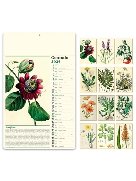 Calendario erboristeria 31 x 52,5 cm formato olandese personalizzato